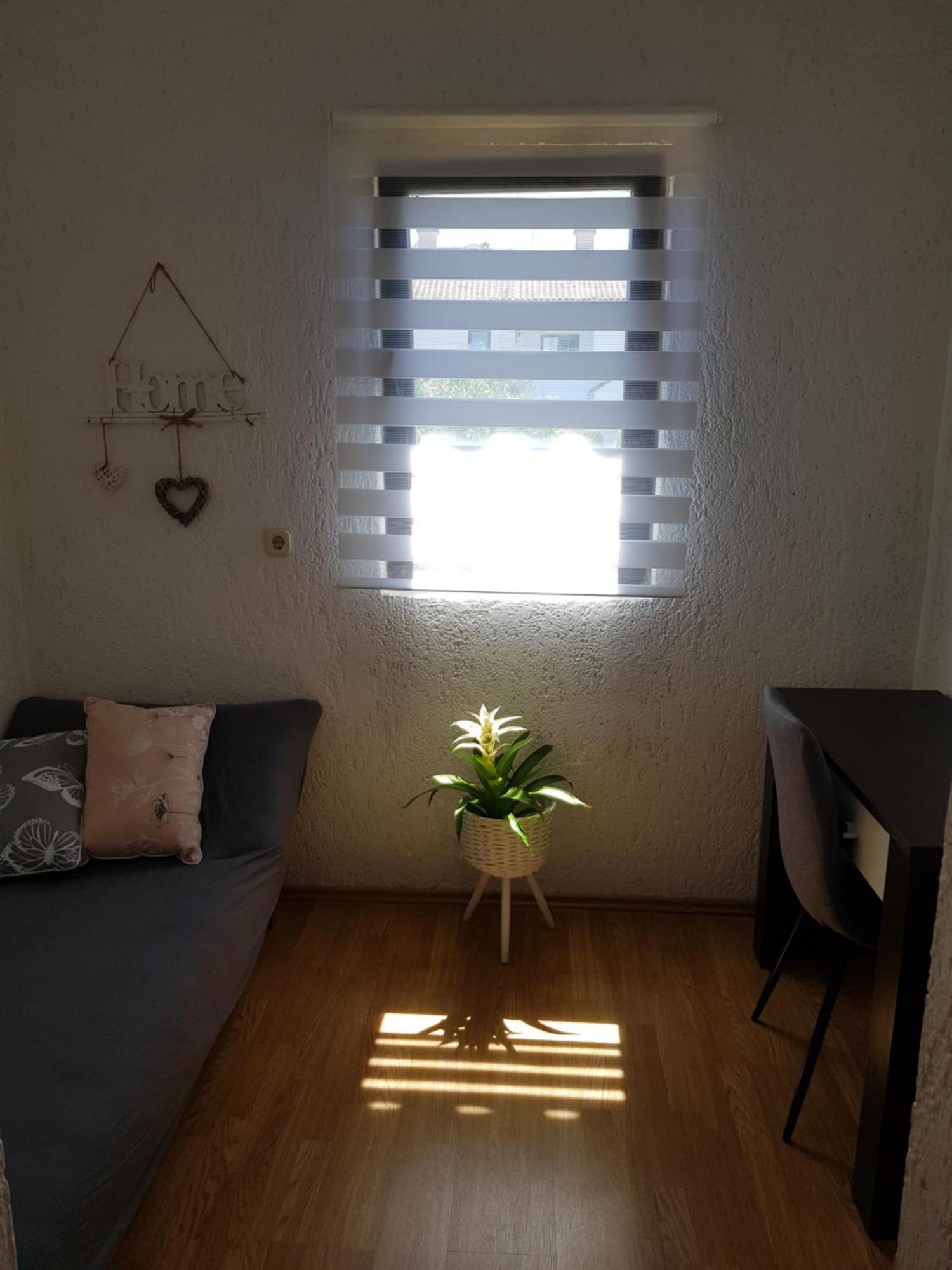 Apartments Barac 波雷奇 外观 照片