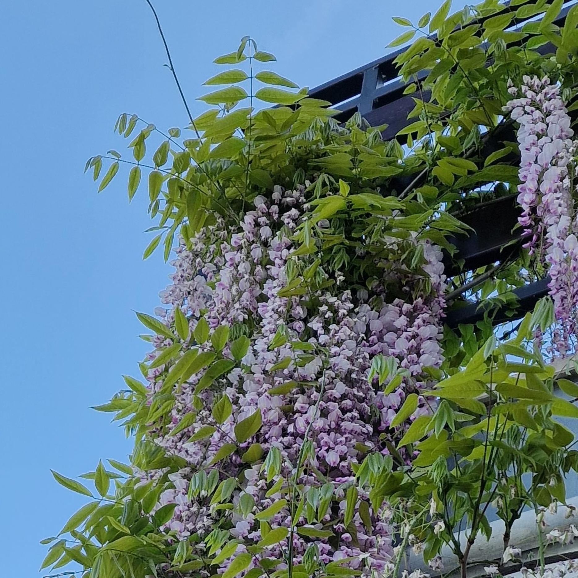 Apartments Barac 波雷奇 外观 照片